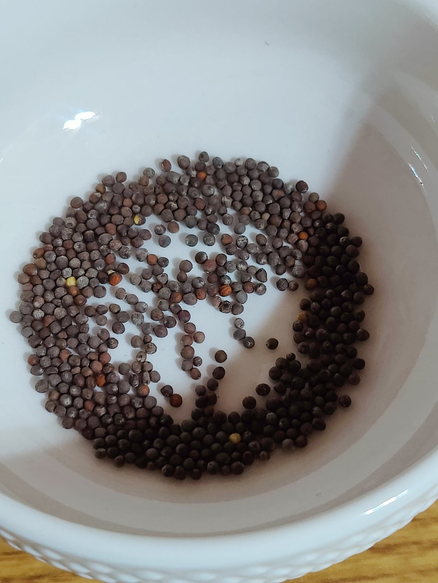 Cauliflower - Snowball - Whitwam Organics