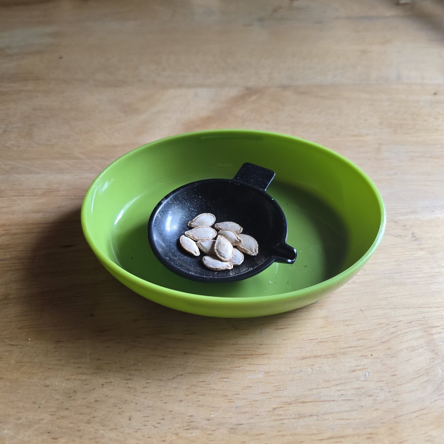 Squash - Aehobak Korean - Whitwam Organics