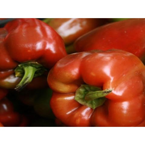 Order Red Bell Pepper, Large