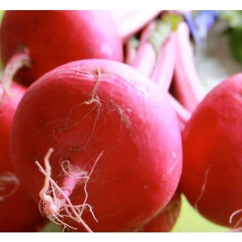Turnip - Japanese Red Round - Whitwam Organics