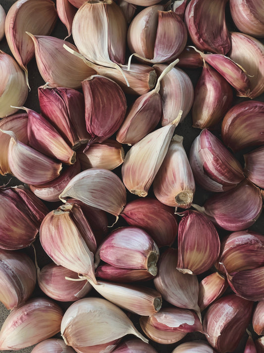 Can You Plant Garlic in the Spring? - Whitwam Organics