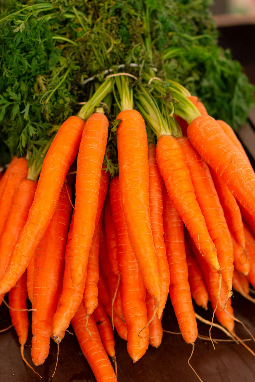 carrot bunch