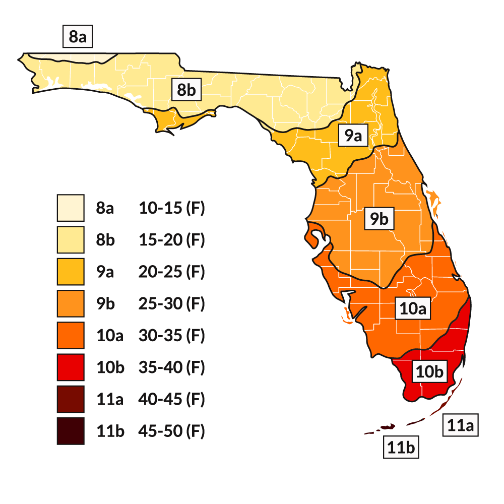 How To Find Your Florida Gardening Zones: With Map! - Whitwam Organics