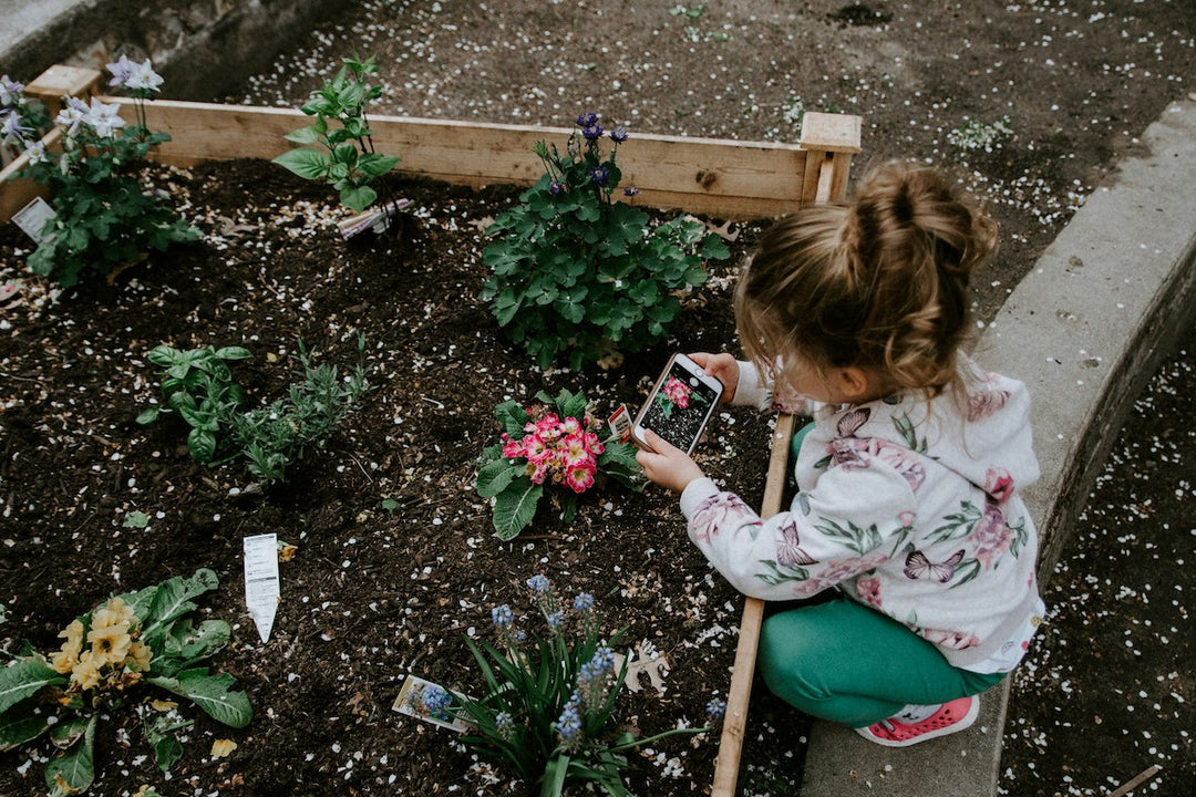 permaculture garden