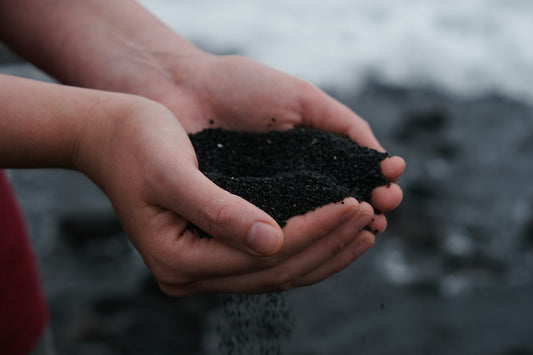 What’s the Best Compost for Your Garden? - Whitwam Organics