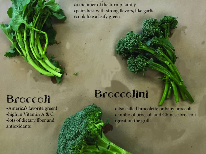 Broccoli and Raab - Whitwam Organics