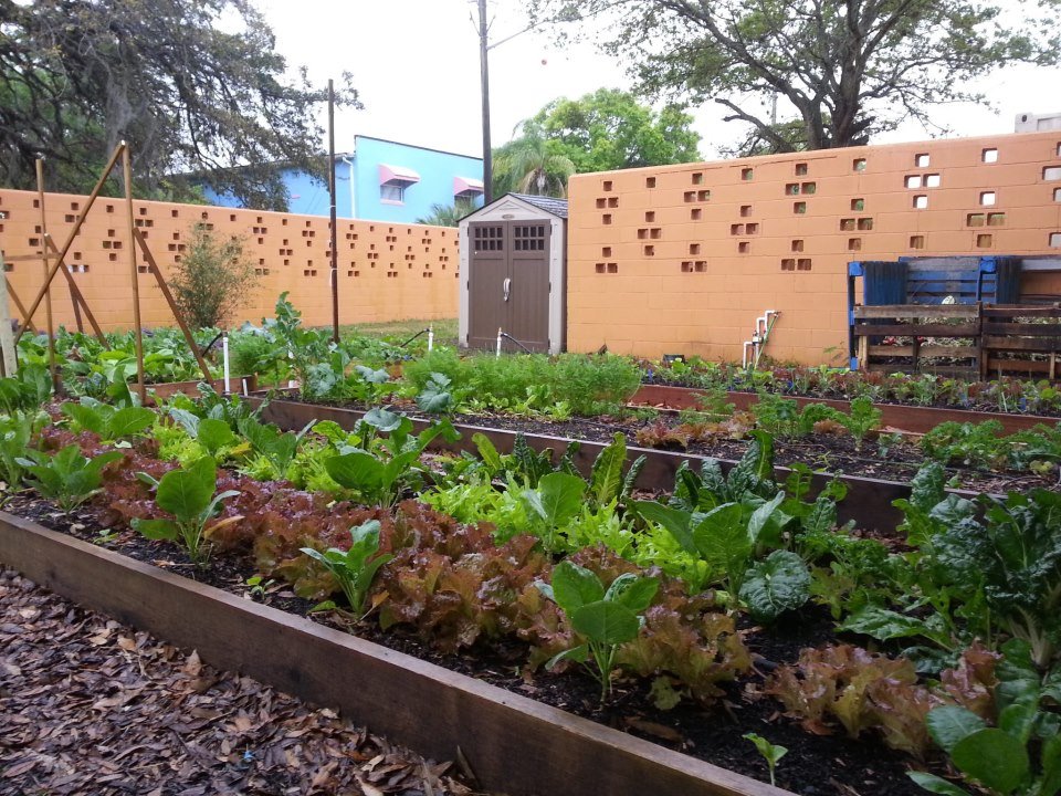 Services - Whitwam Organics