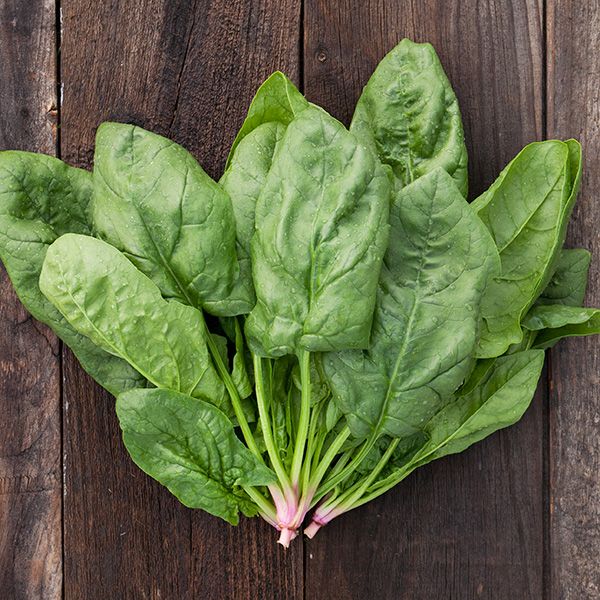 Spinach - Whitwam Organics
