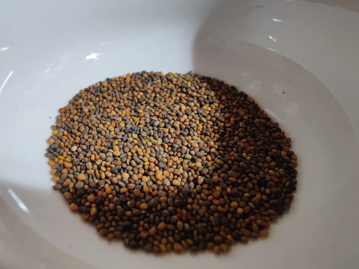 Arugula - Rocket - Whitwam Organics