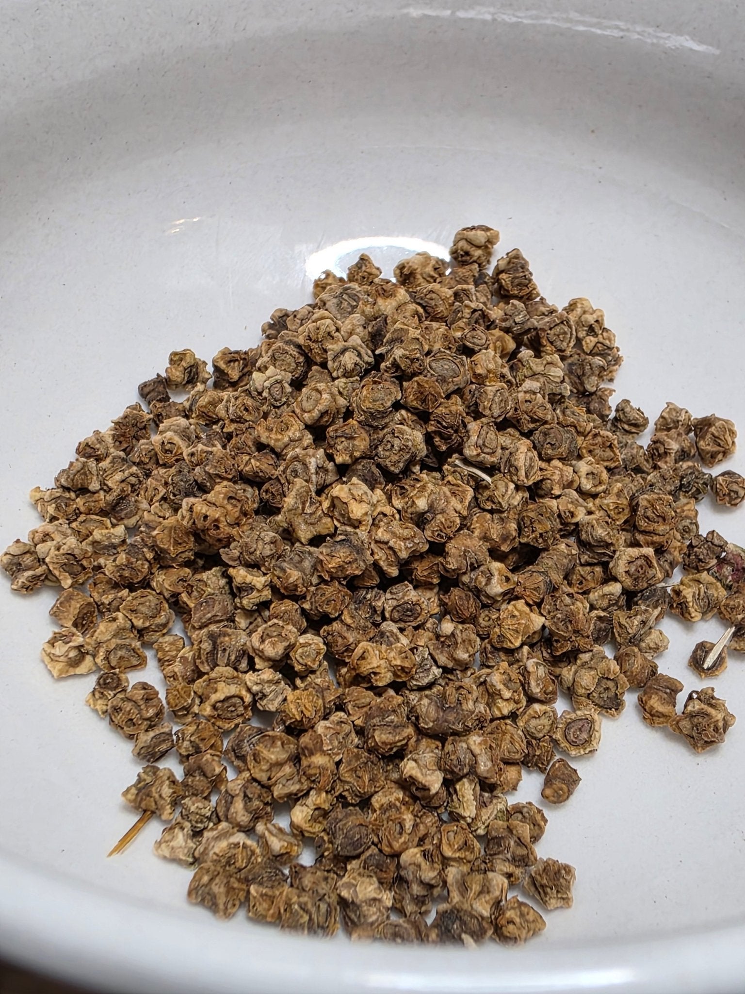 Beets - Detroit Dark Red - Whitwam Organics