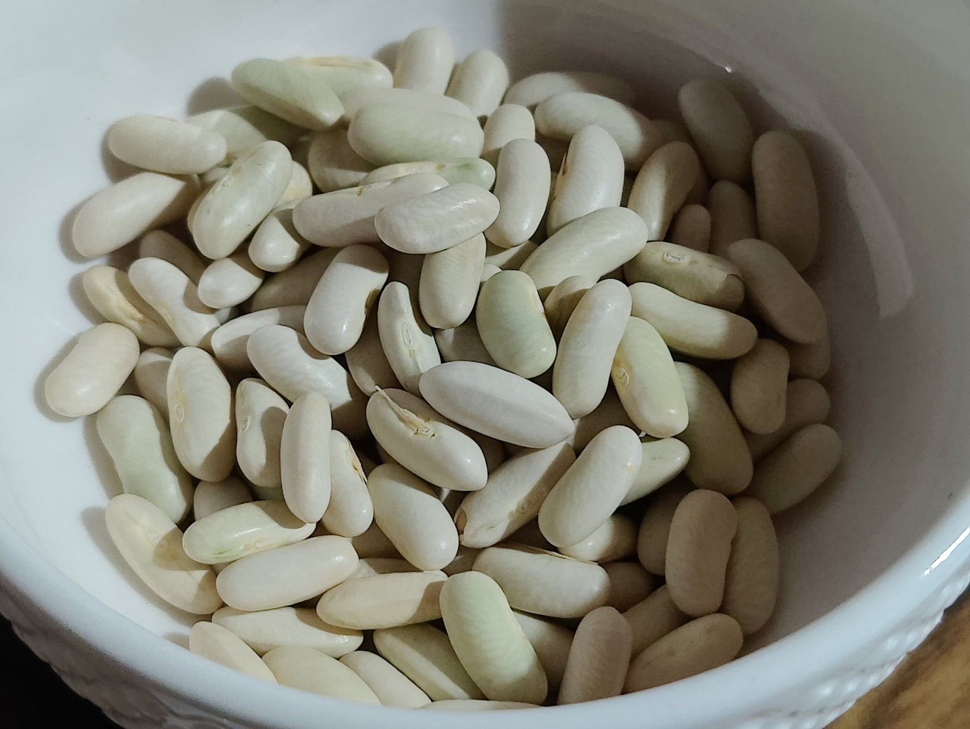 Bush Bean - Tendergreen Improved - Whitwam Organics