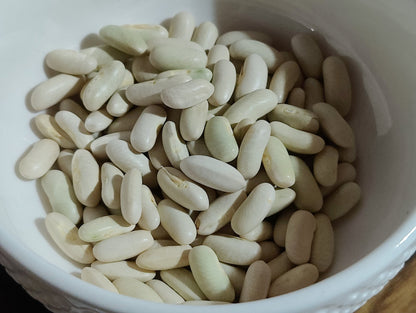 Bush Bean - Tendergreen Improved - Whitwam Organics