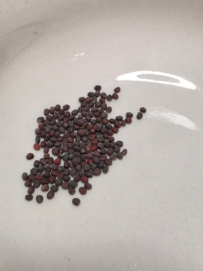 Cabbage - Green Rocket Chinese - Whitwam Organics