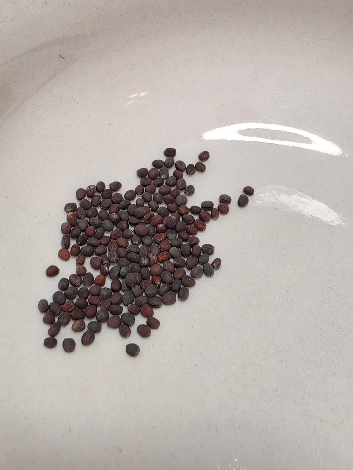 Cabbage - Green Rocket Chinese - Whitwam Organics