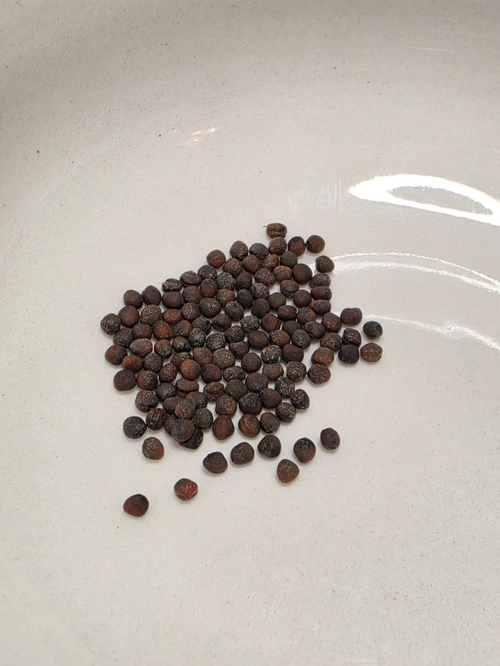 Cabbage - Wakamine Green - Whitwam Organics