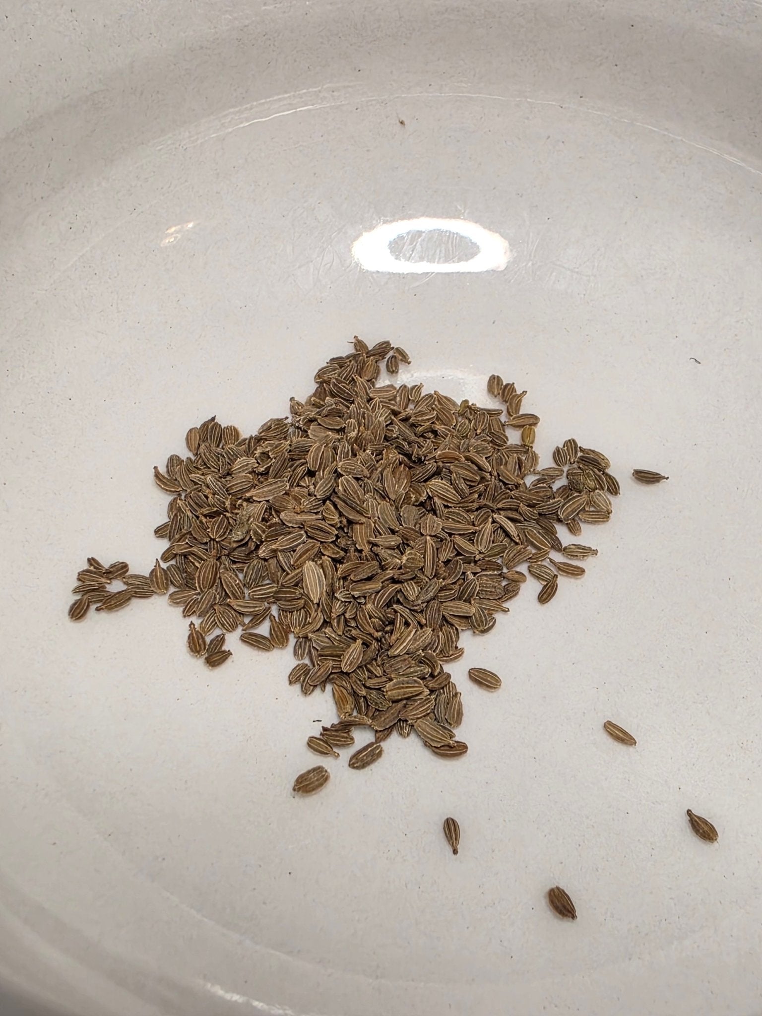 Carrots - Atomic Red - Whitwam Organics