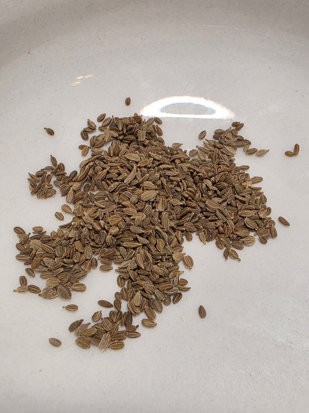 Carrots - Solar Yellow - Whitwam Organics