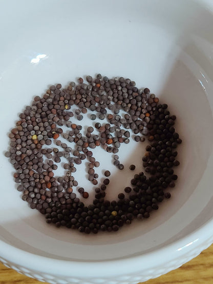 Cauliflower - Snowball - Whitwam Organics