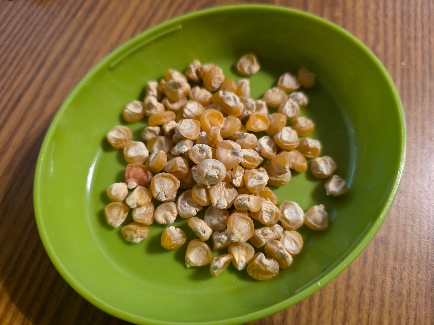 Corn - Golden Bantam Sweet Corn - (Heirloom) - Whitwam Organics