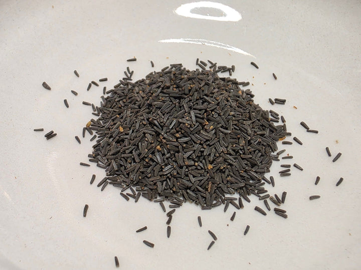 Daisy - Gloriosa Black Eyed Susan (Florida Native) - Whitwam Organics