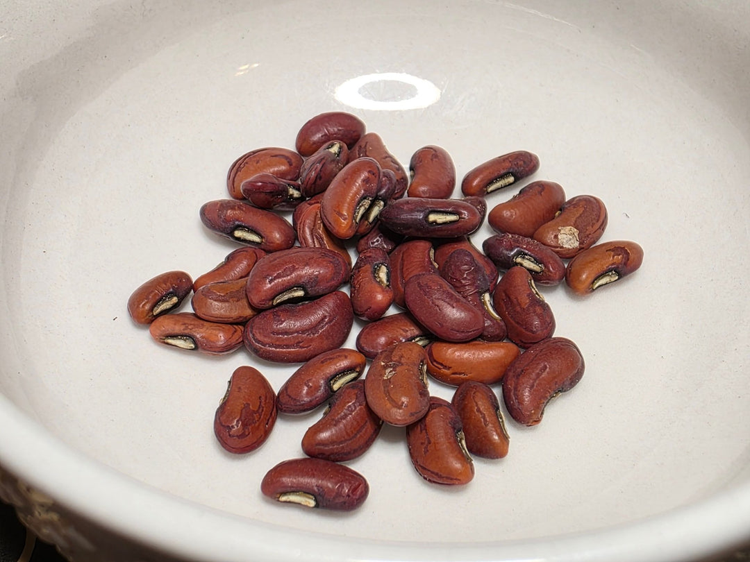 Long Bean - Red Noodle - Whitwam Organics