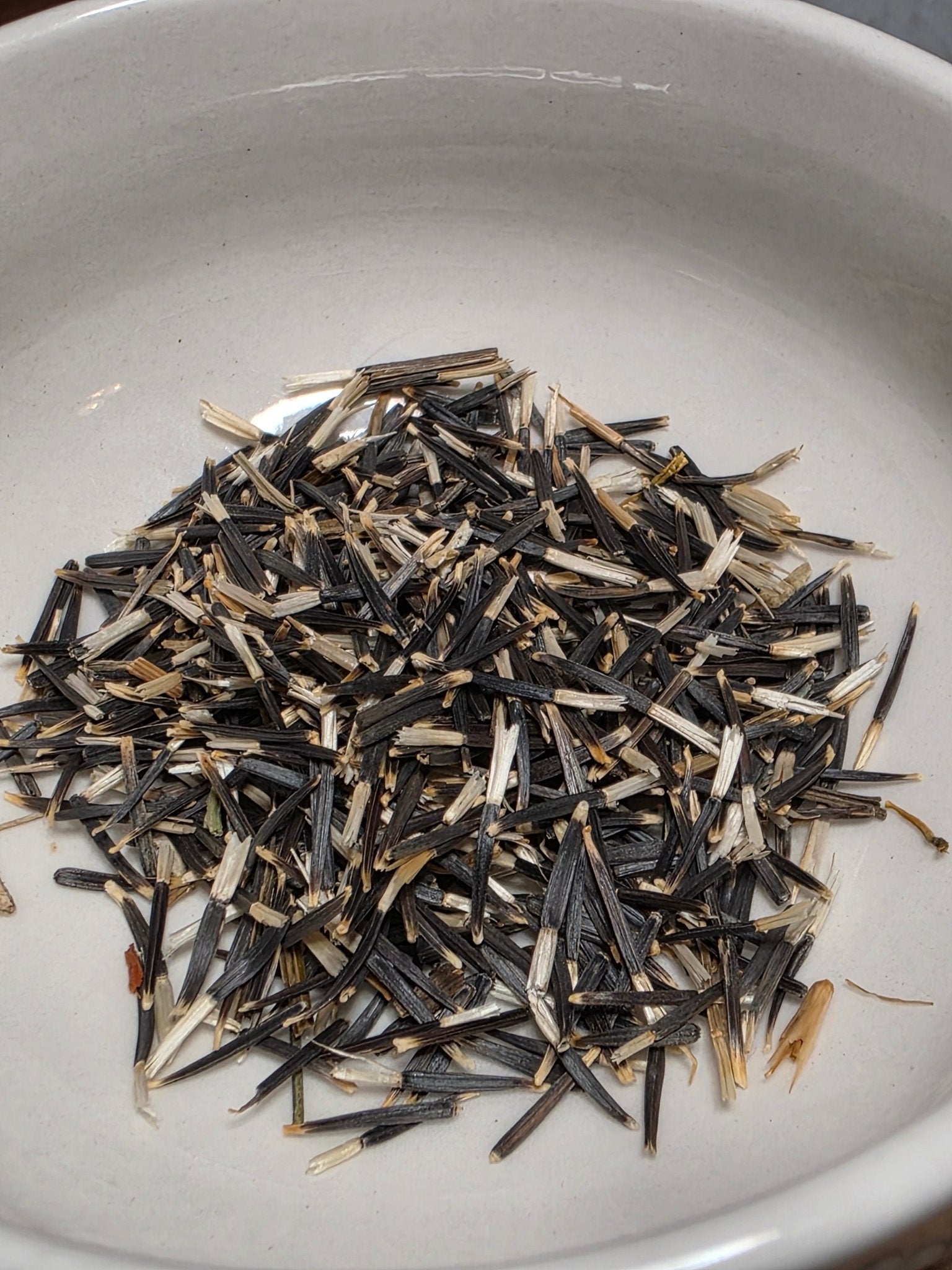 Marigold - Crackerjack African Marigold - Whitwam Organics