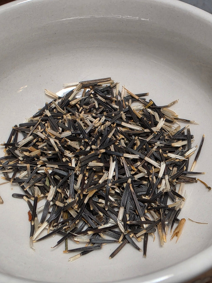 Marigold - Crackerjack African Marigold - Whitwam Organics