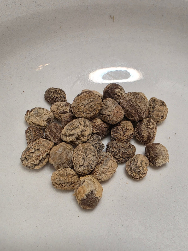 Nasturtium - Dwarf Jewel - Whitwam Organics