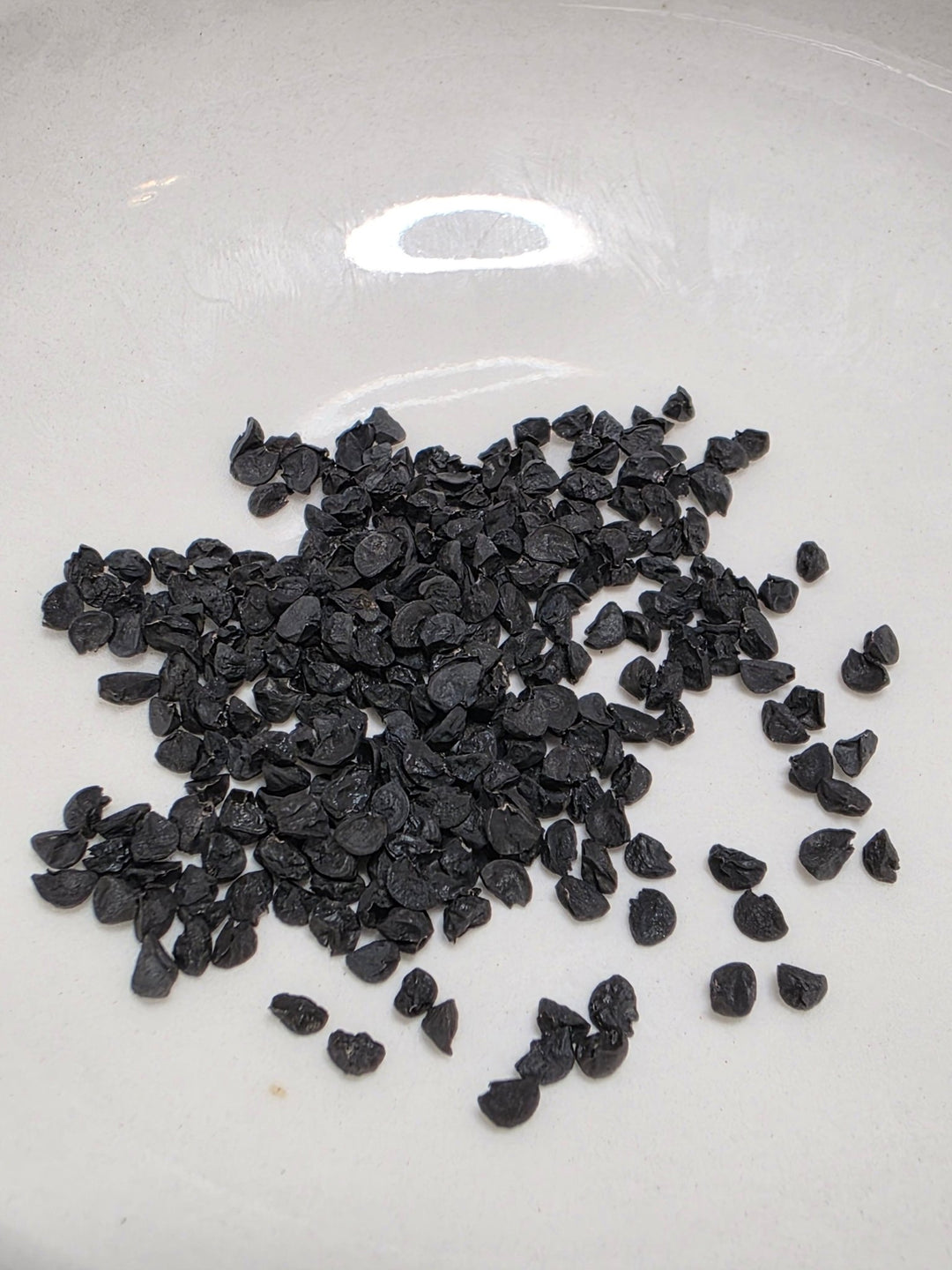 Onion - Shonan Red (Medium Day) - Whitwam Organics