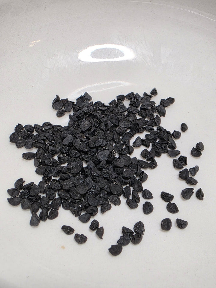 Onion - Shonan Red (Medium Day) - Whitwam Organics