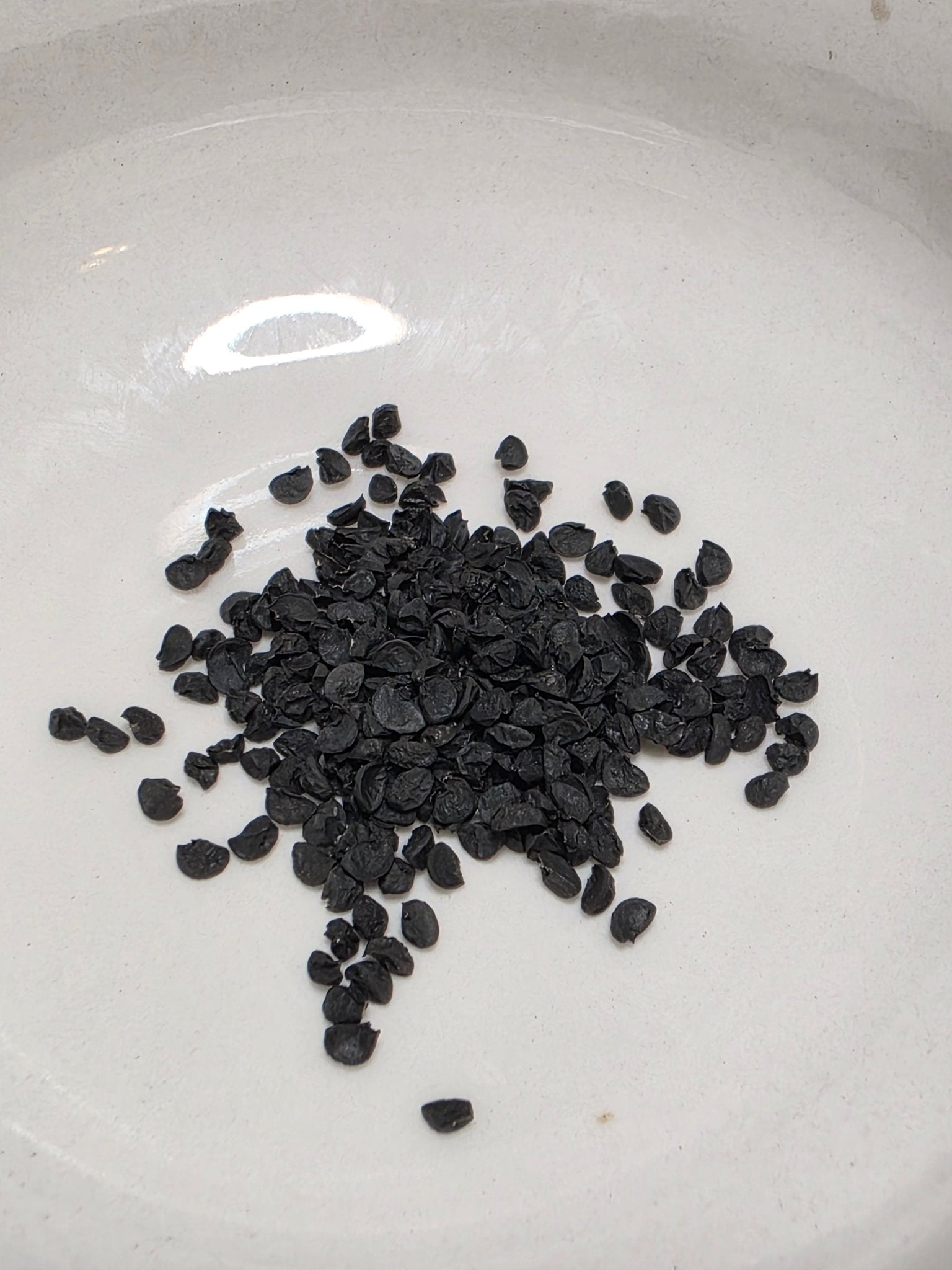 Onion - Superex Onion (Short Day) - Whitwam Organics