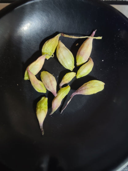 Onion - Wild Onion/Wild Garlic (Allium canadense) (Florida Native) - Whitwam Organics