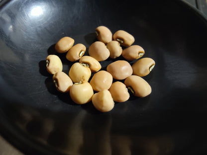 Pea - Southern Seminole Pea - Whitwam Organics
