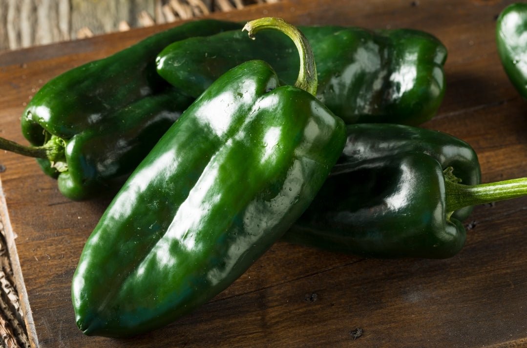 Pepper - Poblano - Whitwam Organics