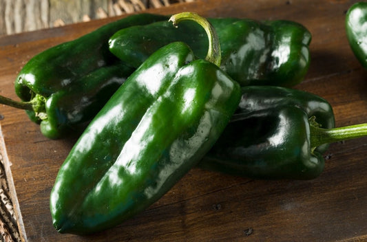 Pepper - Poblano - Whitwam Organics