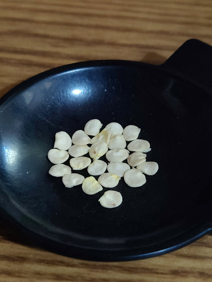 Pepper - Poblano - Whitwam Organics