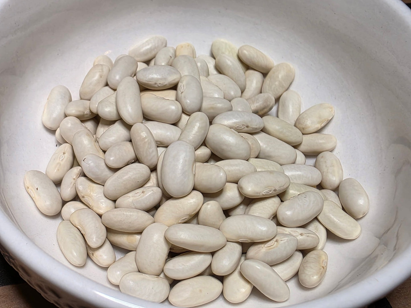 Pole Bean - Blue Lake - Whitwam Organics