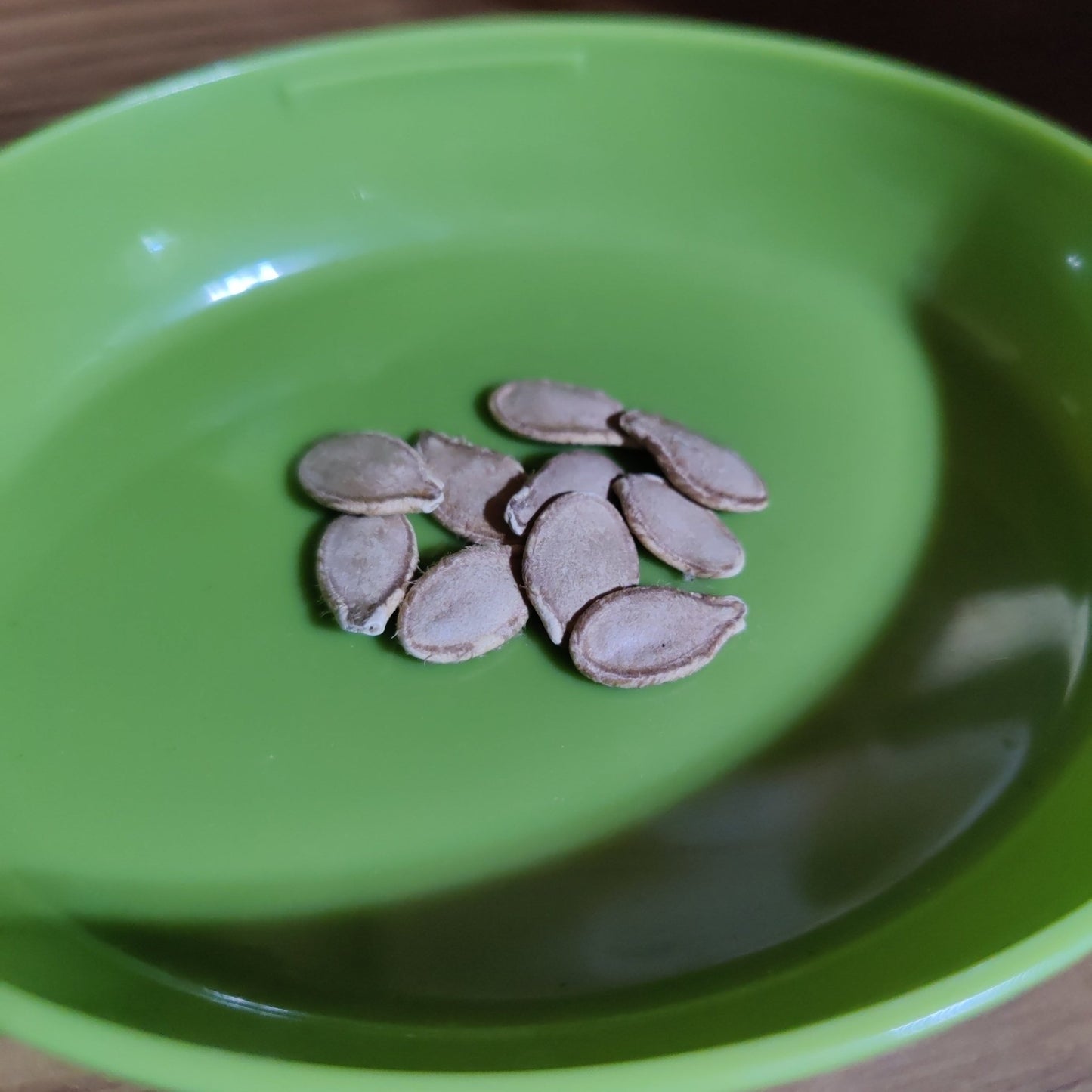 Squash - Calabaza Tropical Pumpkin - Whitwam Organics