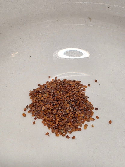 Sweet Alyssum - Whitwam Organics