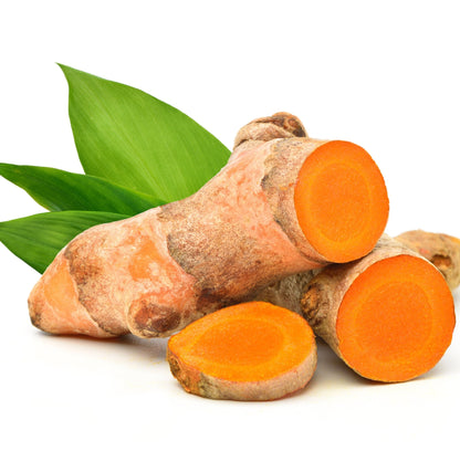 Turmeric - (Curcuma longa) - Whitwam Organics