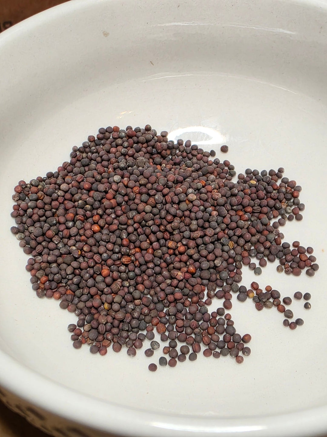 Turnip - Purple Top White Globe - Whitwam Organics