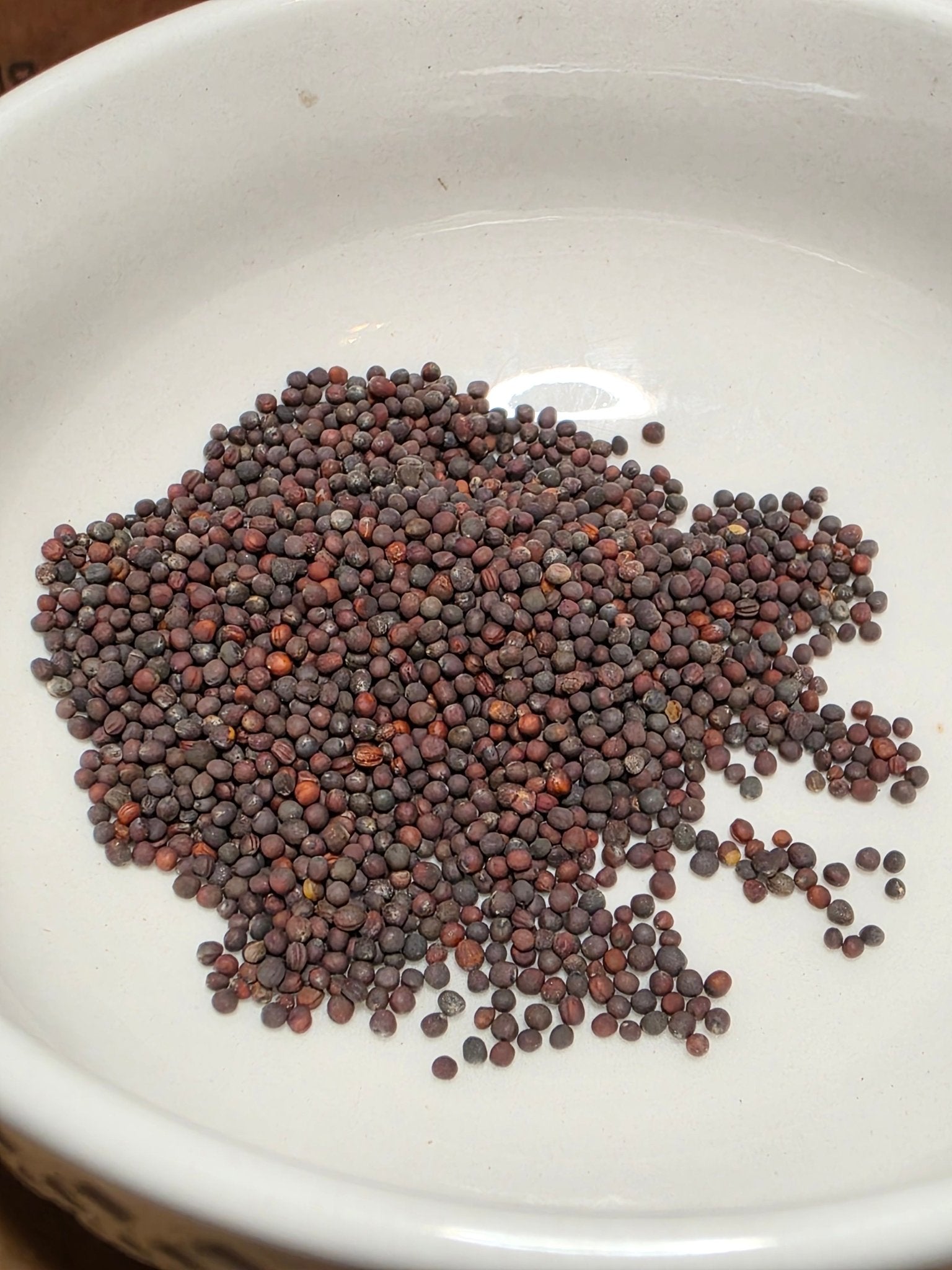 Turnip - Purple Top White Globe - Whitwam Organics