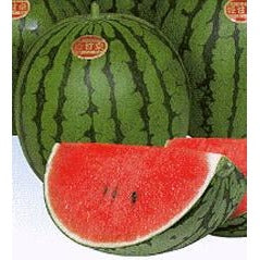 Melon-Hime Kansen Ice Box Watermelon