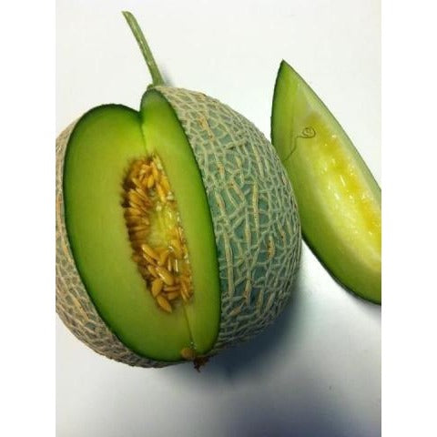 Melon-Ichiba Kouji Honeydew