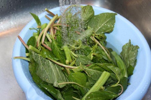 Amaranth - Green Leaf (Callaloo) - Whitwam Organics