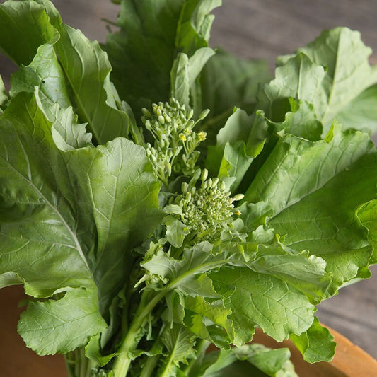 Broccoli Raab - Early Spring Rapini - Whitwam Organics