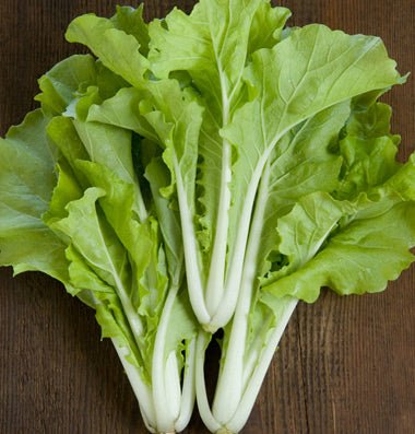 Cabbage - Tokyo Bekana - Whitwam Organics