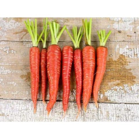 Carrots - Atomic Red - Whitwam Organics