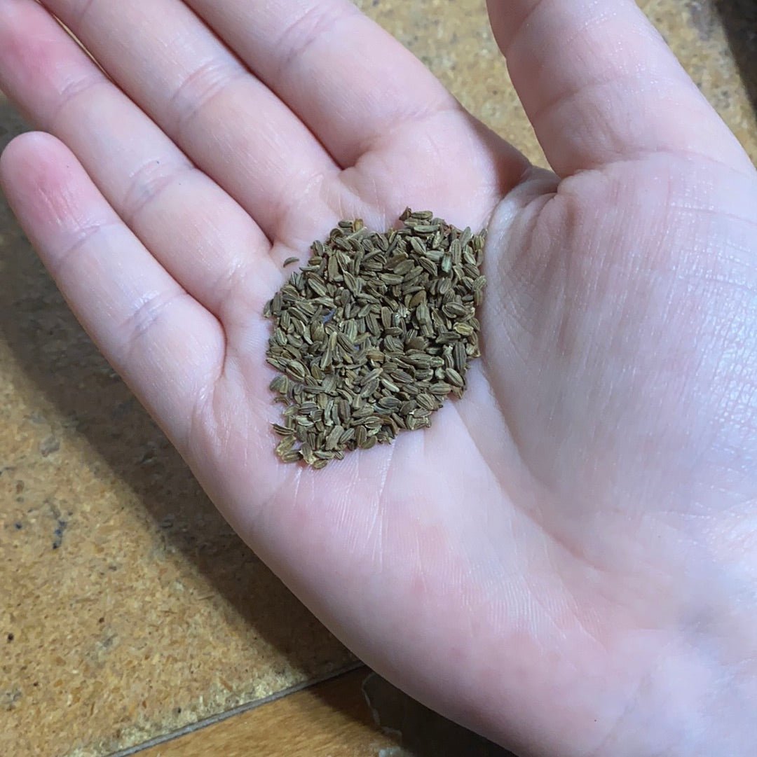 Carrots - Atomic Red - Whitwam Organics