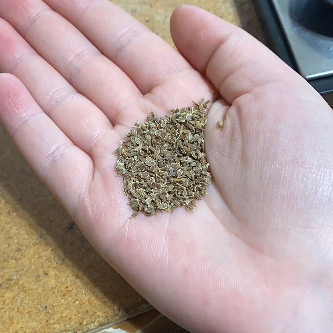 Carrots - Lunar White - Whitwam Organics